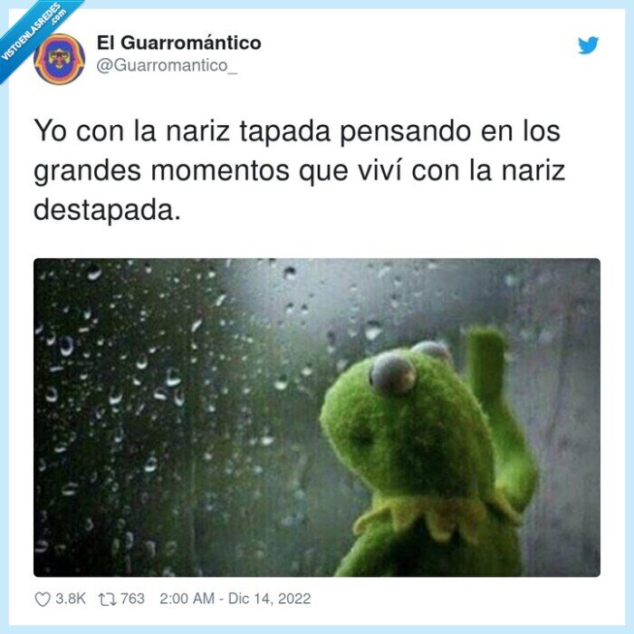 destapada,momentos,pensando,gustavo,rana,tapada,nariz