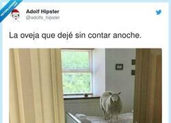 Enlace a Qué baaaaaaaaaaah!!, por @adolfs_hipster