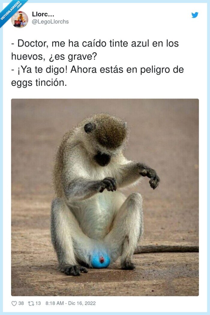 tinción,doctor,huevos,peligro,mono