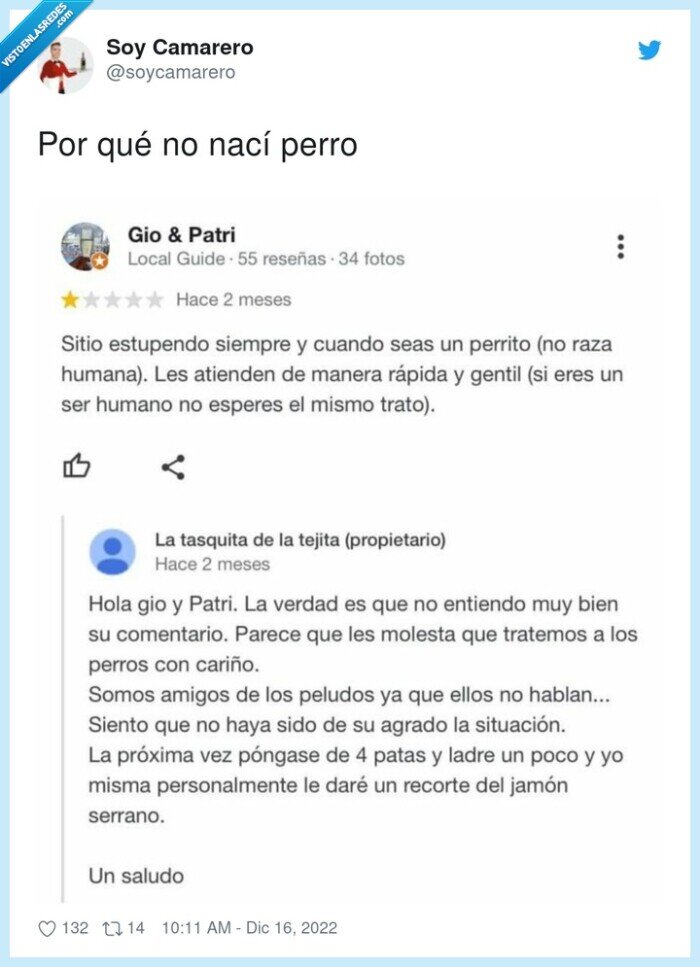 restaurante,perro,cuidar