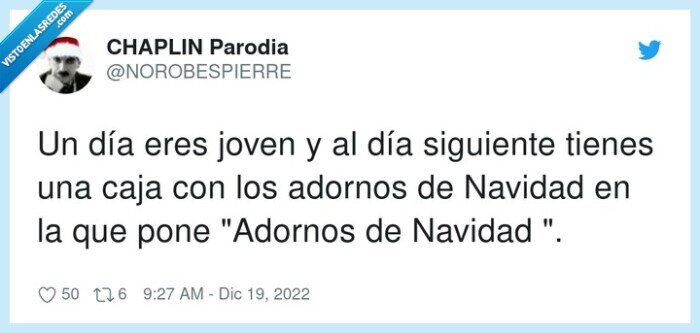 adornos,navidad,joven