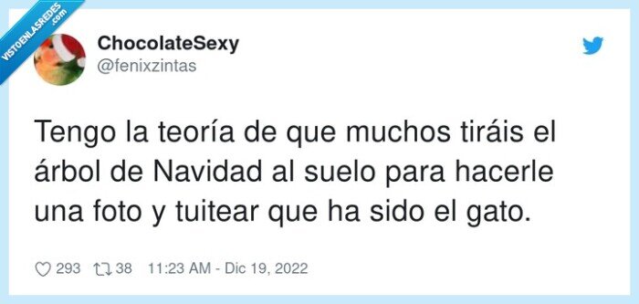 teoría,tirar,navidad,gato,arbol de navidad