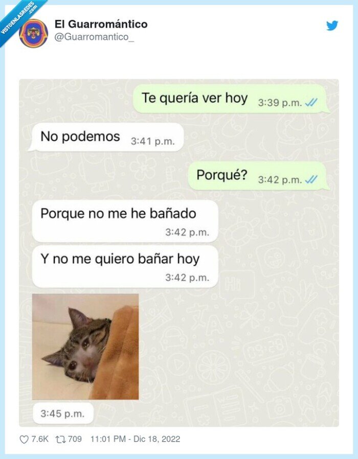 bañarse,gato,vernos