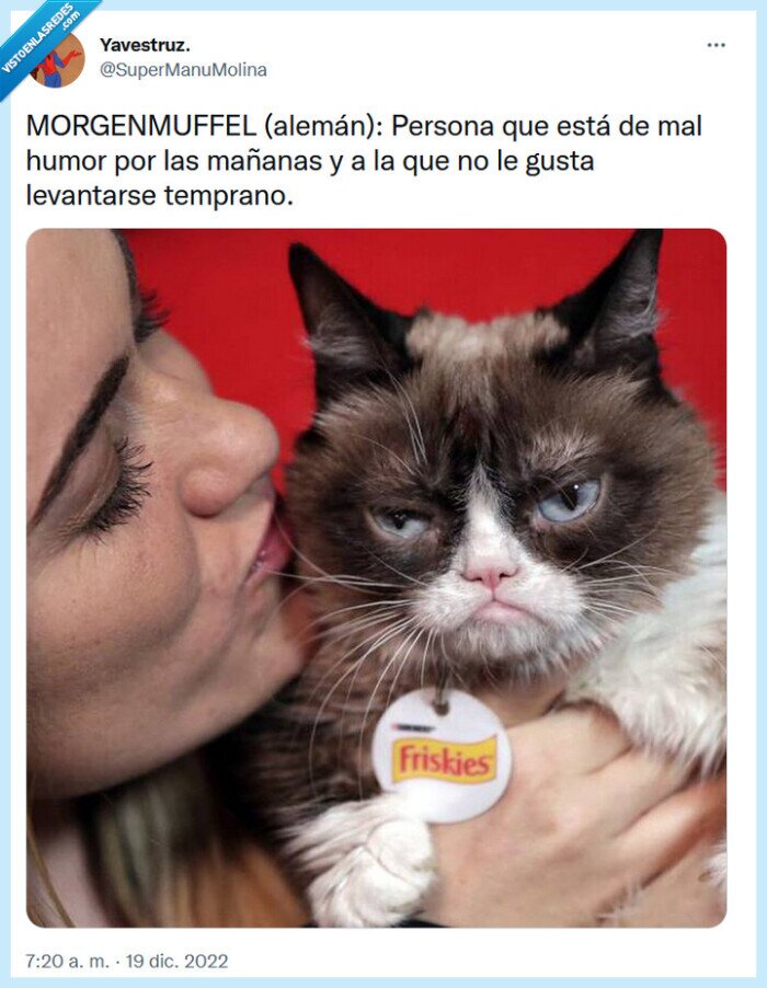 alemán,humor,mal,mañanas,temprano,levantarse