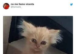 Enlace a O todas a la vez, por @kansaita_