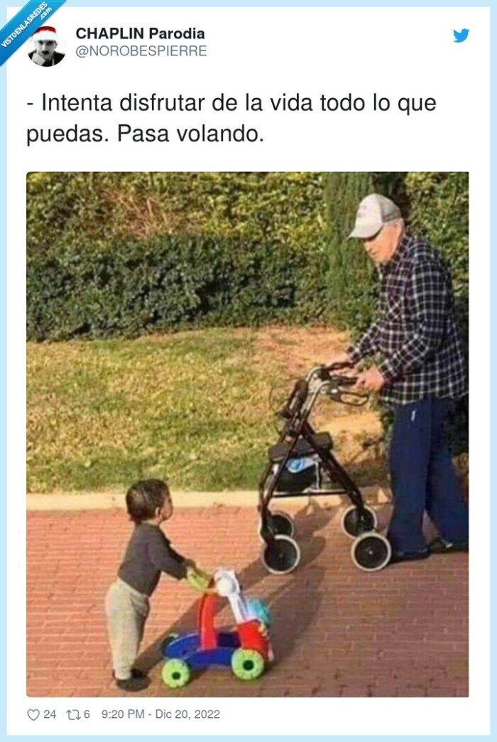 disfrutar,intenta,volando,puedas,vida,todo