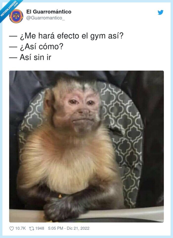 efecto,gym,sin