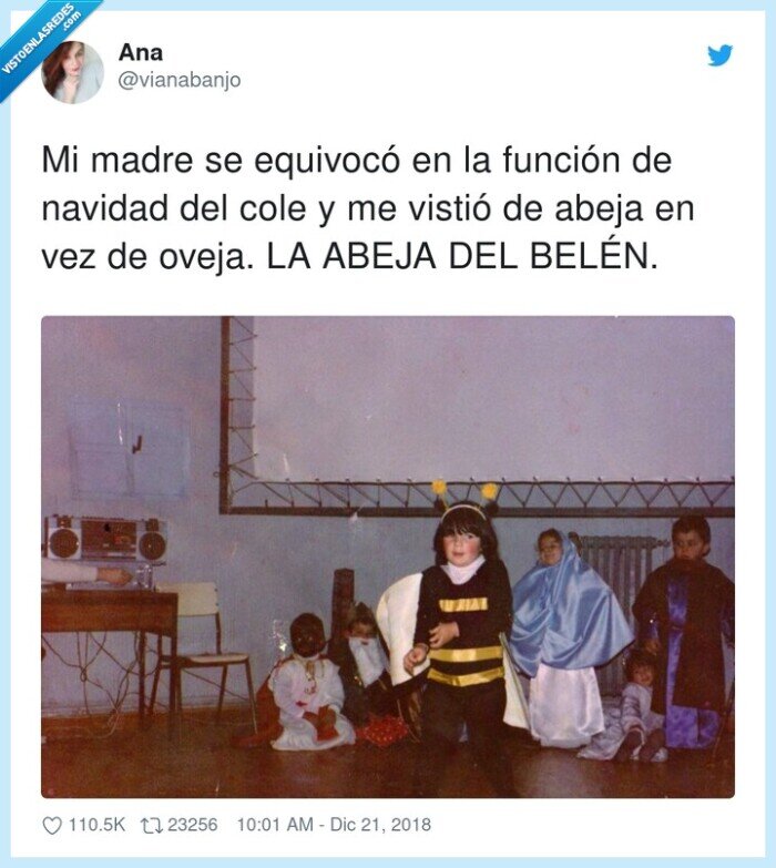 equivocarse,función,navidad,abeja,oveja,belén,madre
