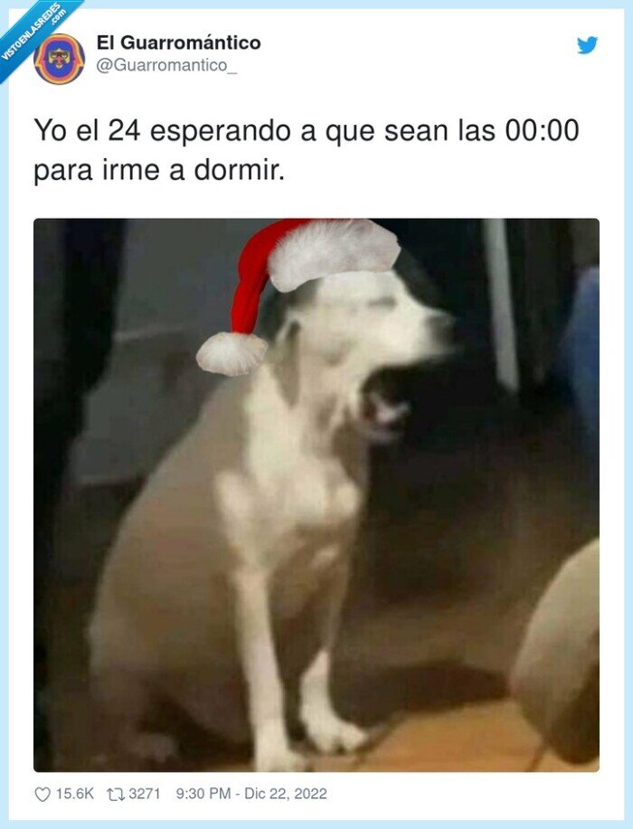 esperando,dormir,perro,navidad