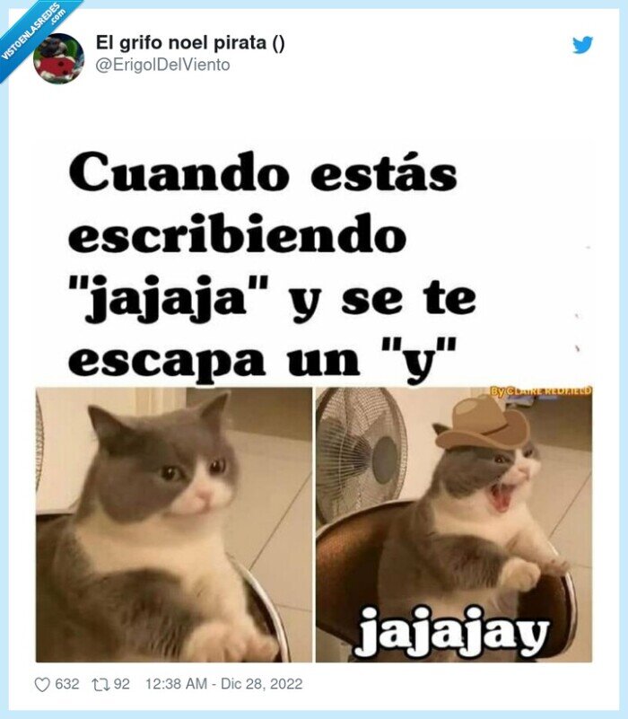 gato,jajaja,risa