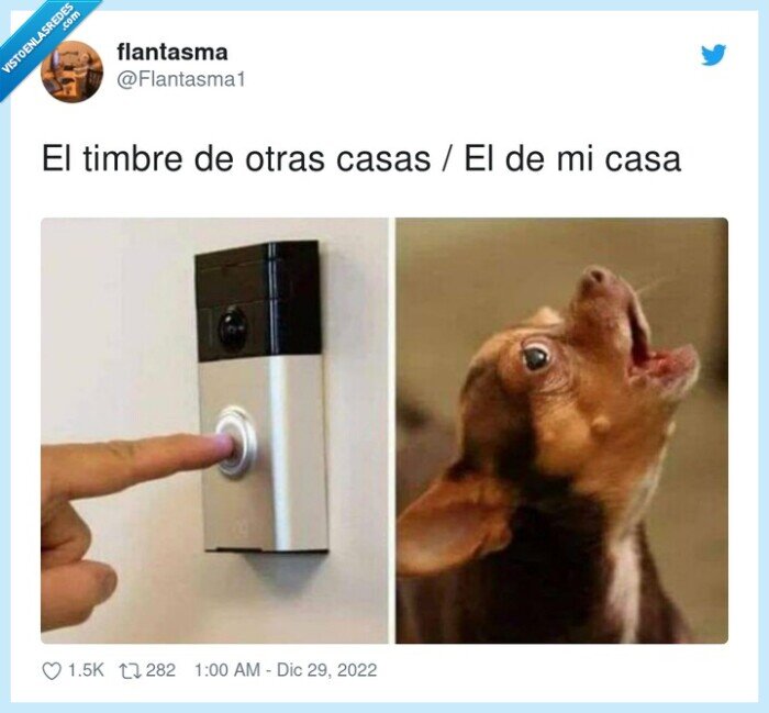 timbre,otras,casas,casa,perro