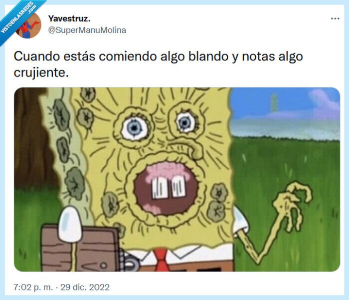 blando,crujiente,comer,bob esponja