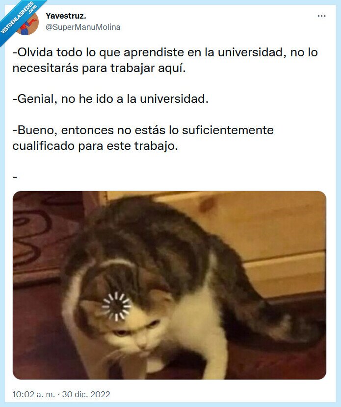 universidad,olvidar,cualificado,trabajo