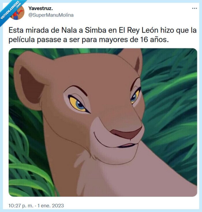 nala,simba,rey león,mirada