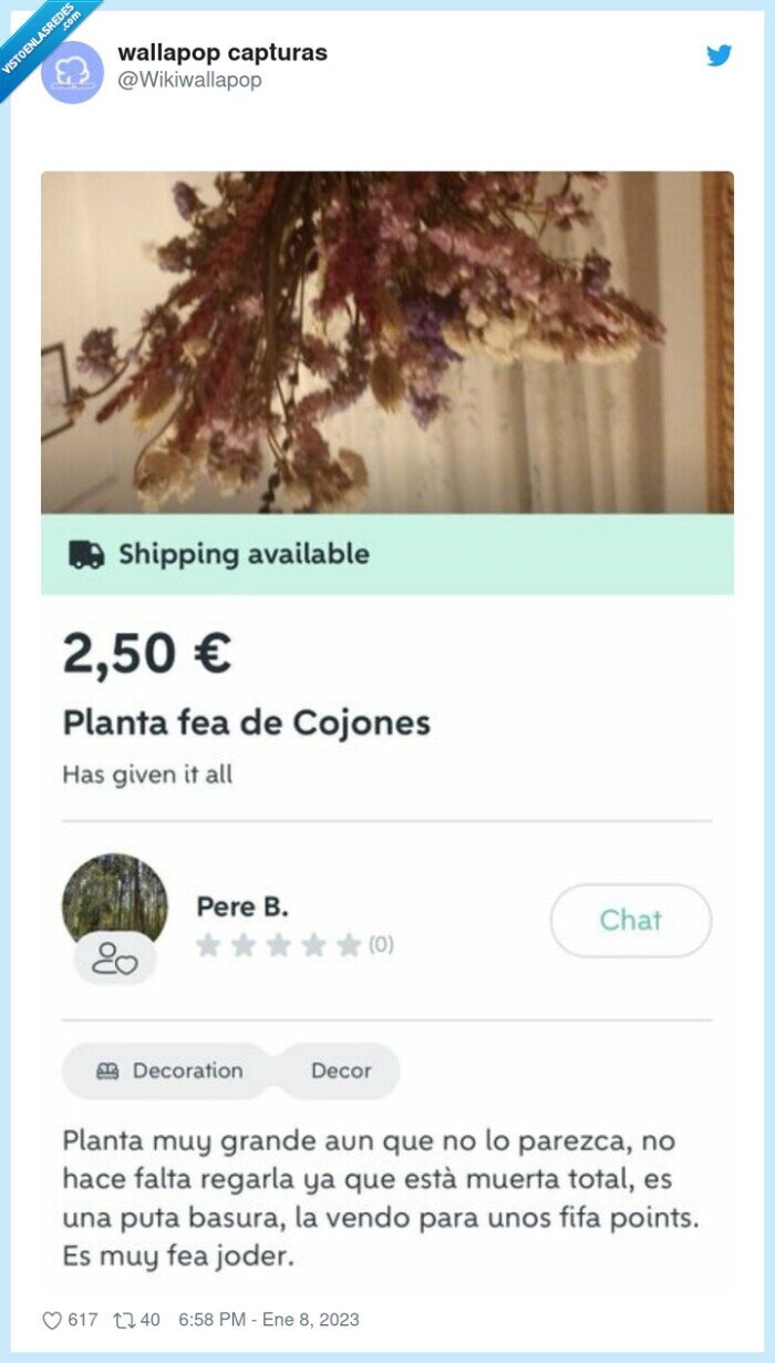 wallapop,fifa,venta,planta