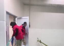 Enlace a Nutrias más ordenadas que mi hermano, por @kansaita_