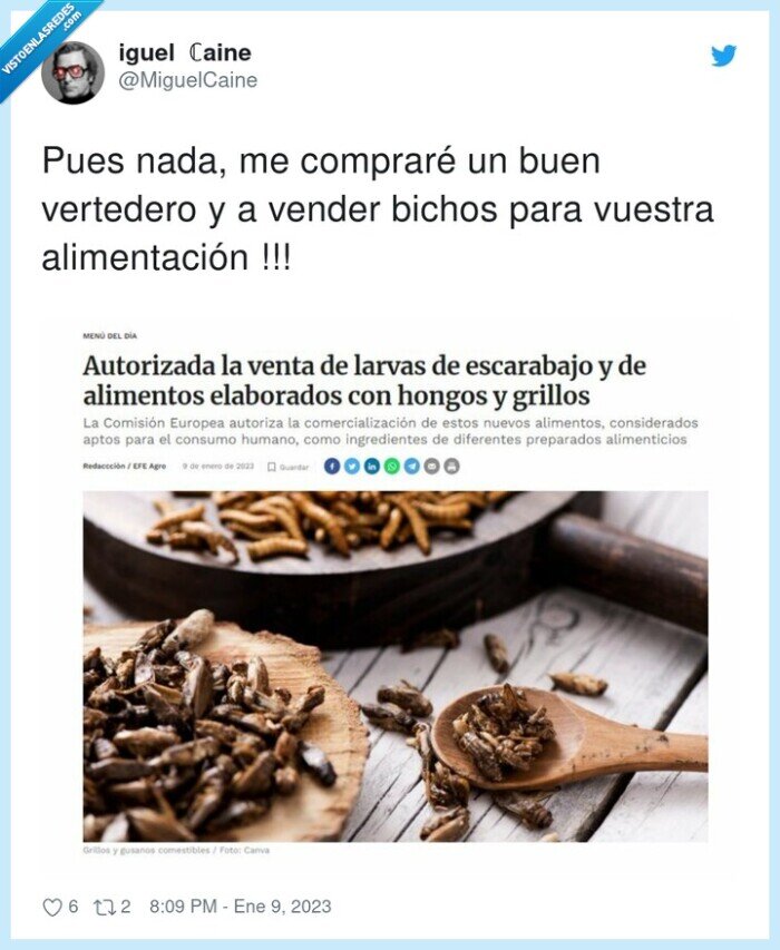 alimentación,vertedero,vender,bichos