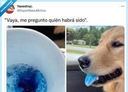 Enlace a No se arrepiente de nada por @supermanumolina