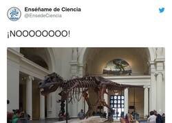 Enlace a Debe ser muy duro encontrarte a tu tatatatatatatarabuelo de esta guisa, por @EnsedeCiencia