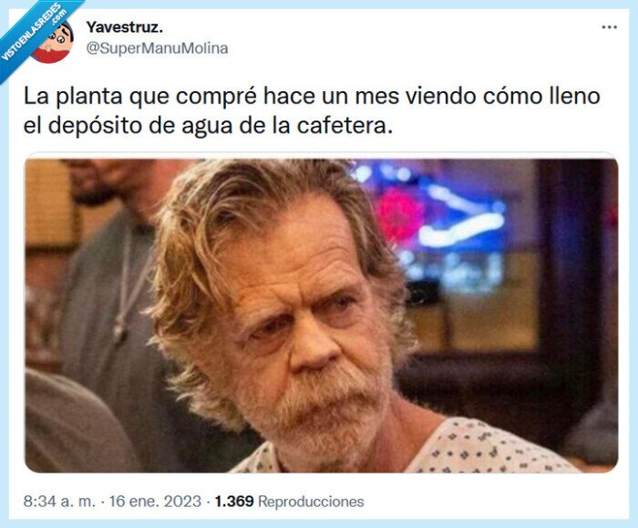 planta,agua,cafetera,depósito