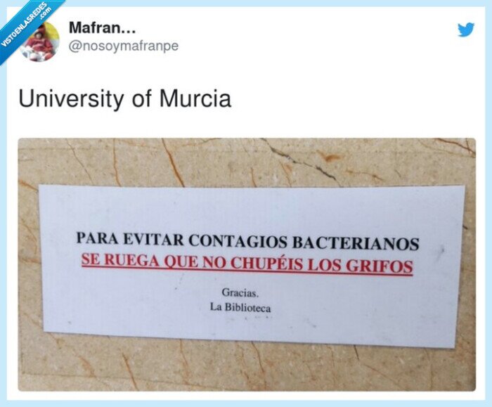 university,murcia,besar,grifos