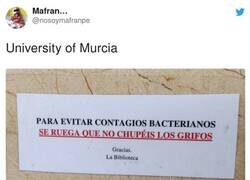 Enlace a Se viene pandemia murciana, por @nosoymafranpe