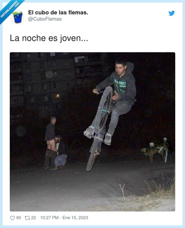 noche,joven,perro,fornicar,detras