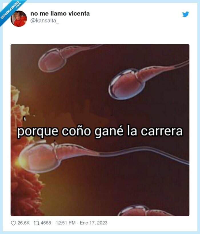 espermatozoide,rápido,carrera,ganar