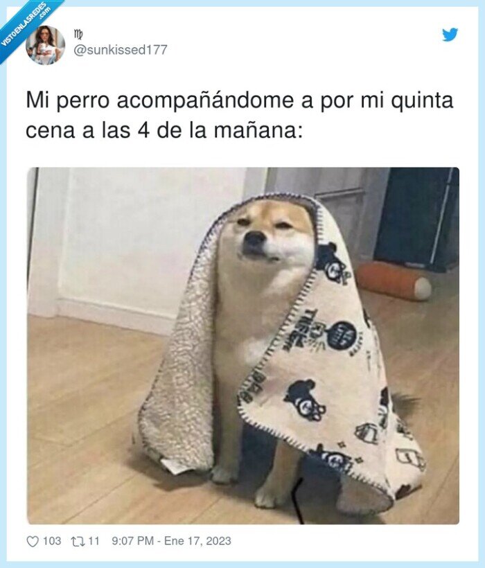 acompañándome,quinta,perro,cena