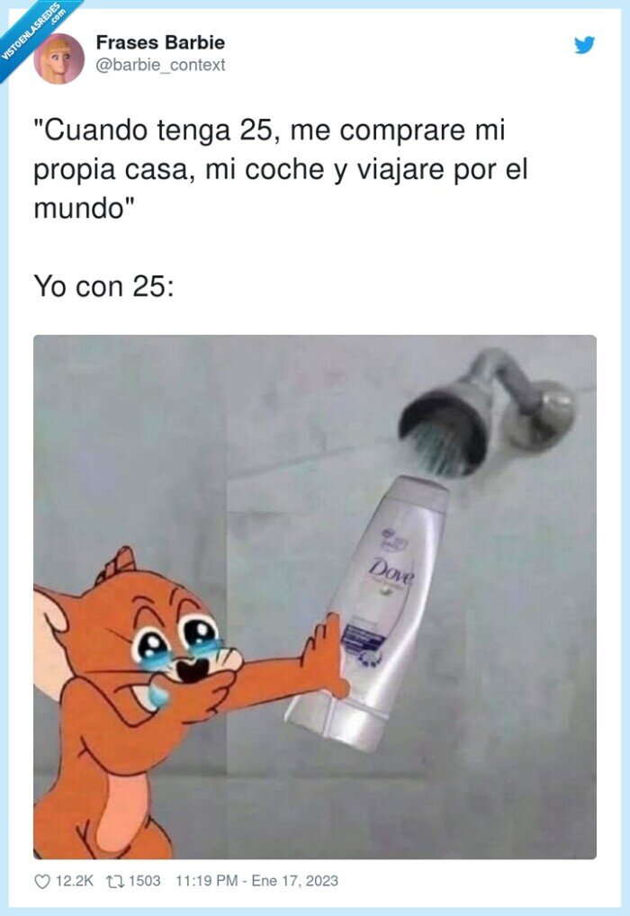 comprar,viajar,champú,propia,tenga,casa