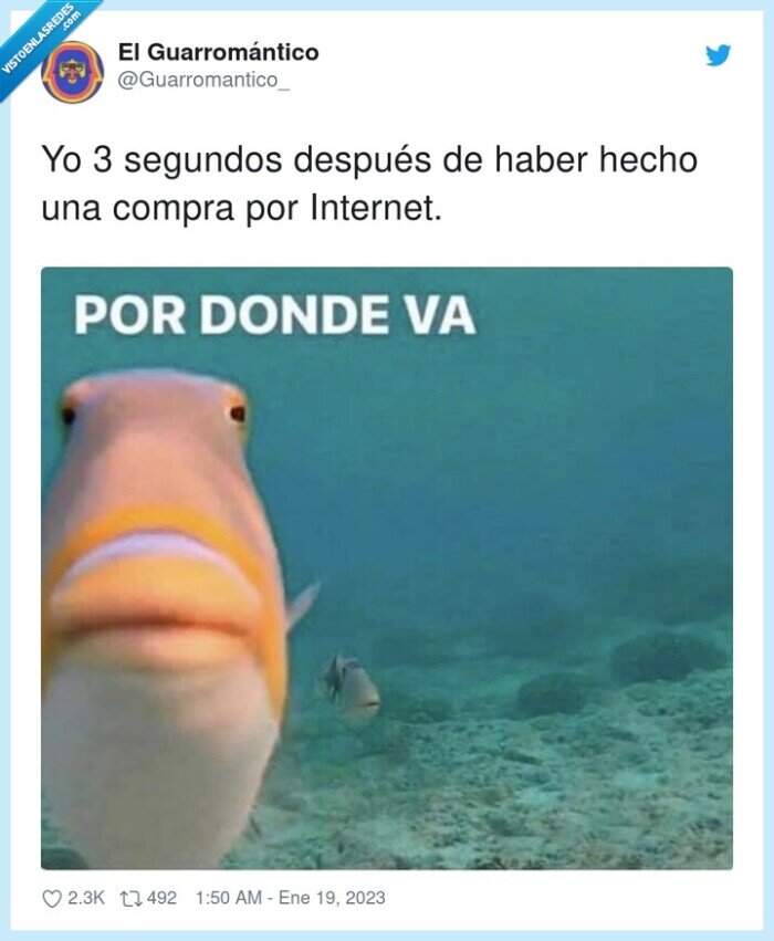 segundos,pez,internet,comprar