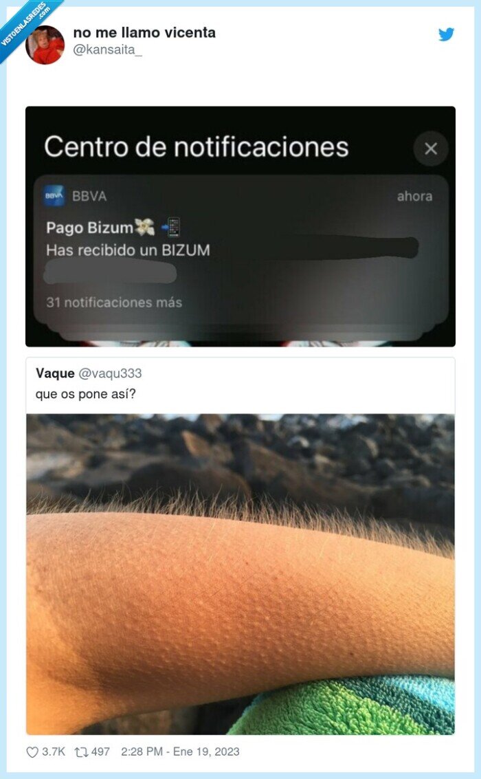 pelos de punta,piel de gallina,bizum