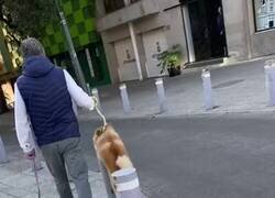 Enlace a Soy yo de pequeño, por @kansaita_