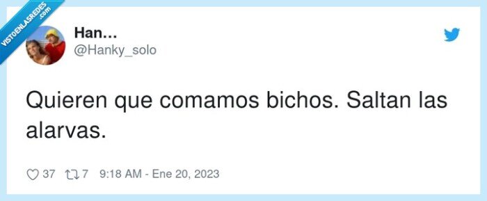 insectos,comida,dieta,alarvas,bichos,saltan