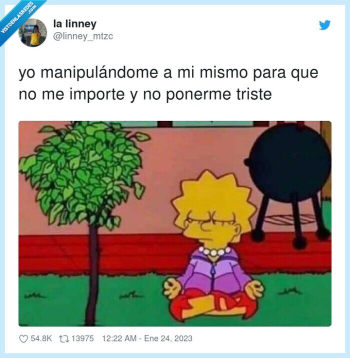manipular,importar,ponerme triste,lisa simpson