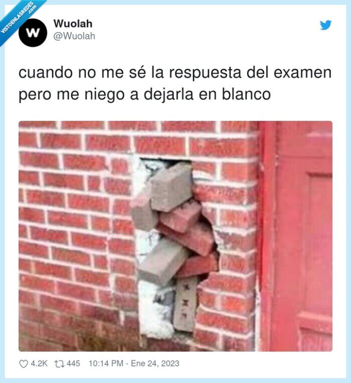 respuesta,pared,ladrillos,examen,blanco