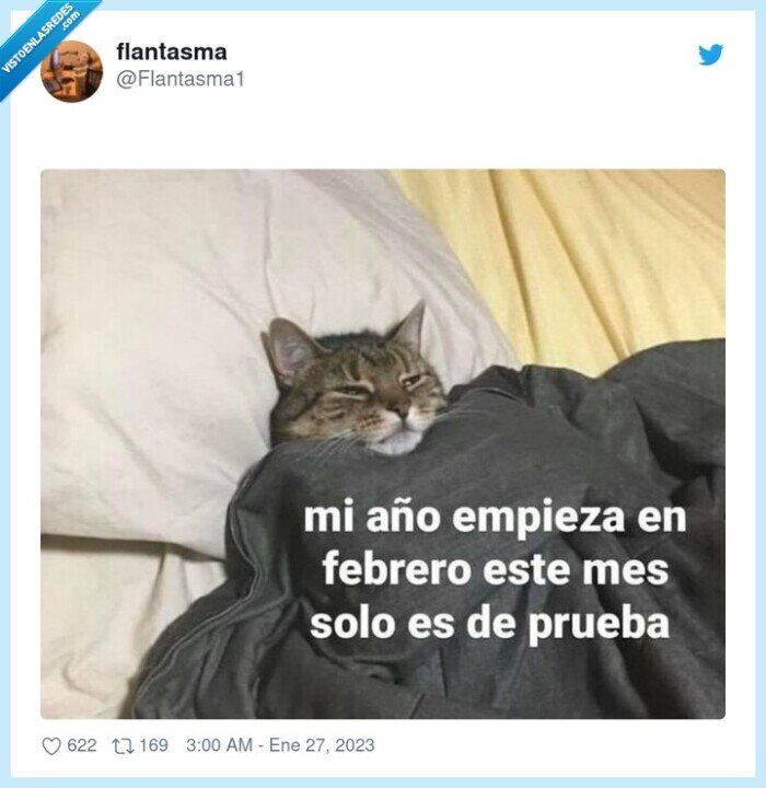 dormir,gato,cama