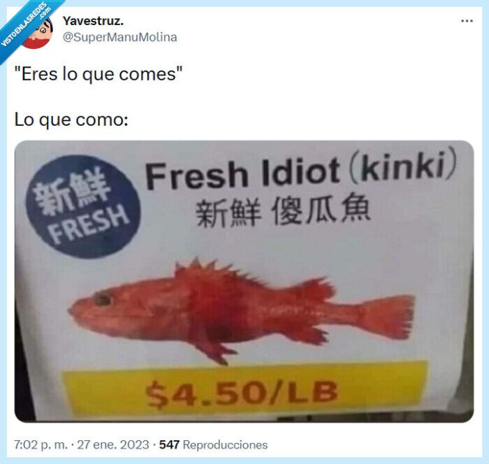 idiota,kinki,comer,ser