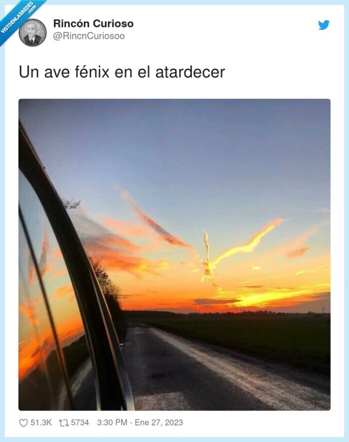 atardecer,f&eacute;nix,ave