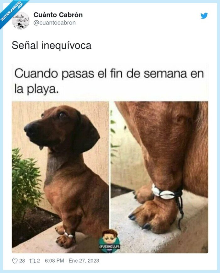 inequ&iacute;voca,se&ntilde;al,playa,pulsera,conchas