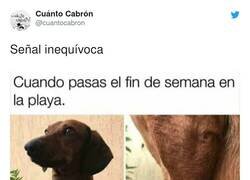 Enlace a ¡Pillada! por @cuantocabron