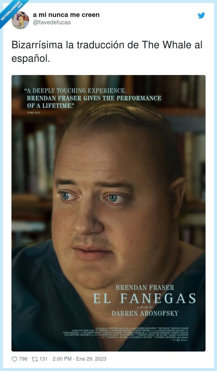 bizarrísima,traducción,español,the whale,fanegas,brendan fraser
