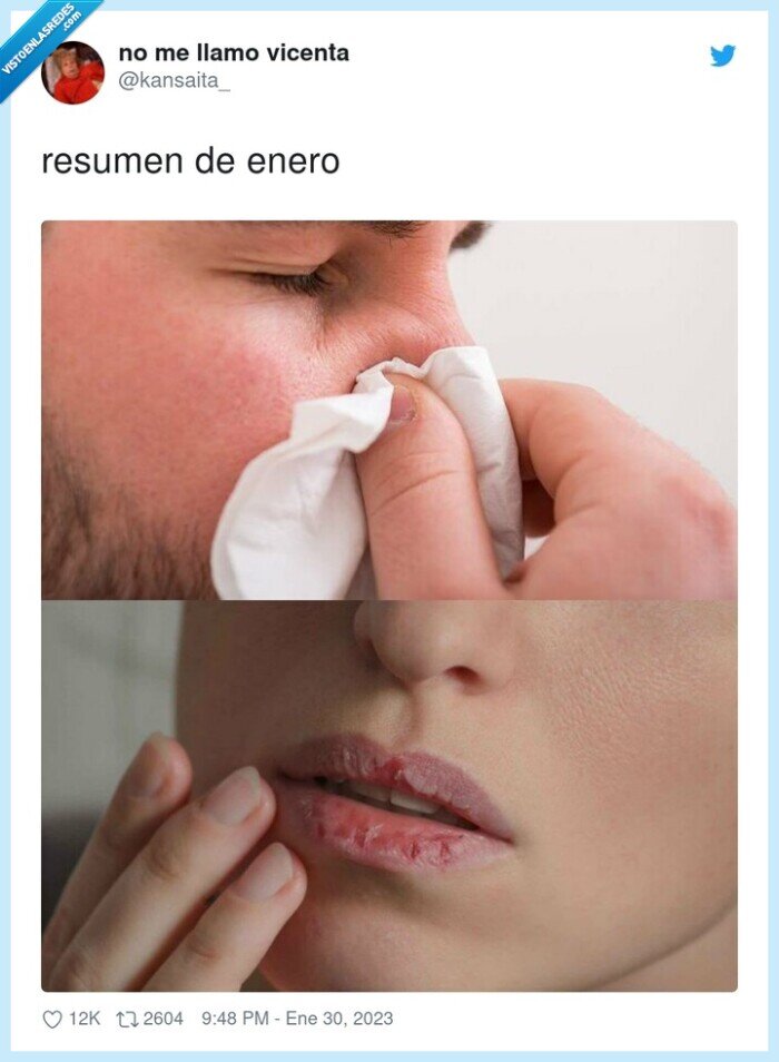 resumen,enero,labios pelados,nariz,mocos,resfriado