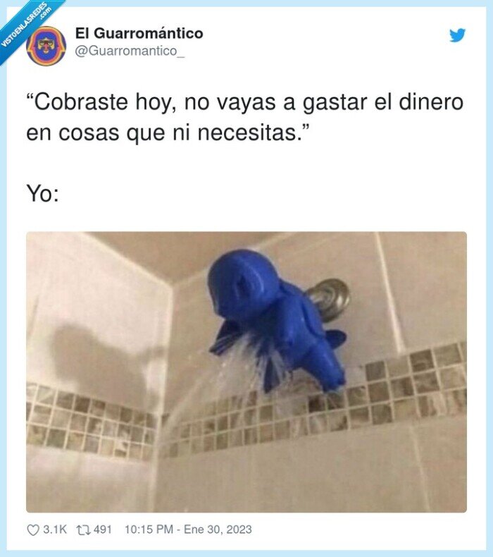 tontería,ducha,squirtle,agua