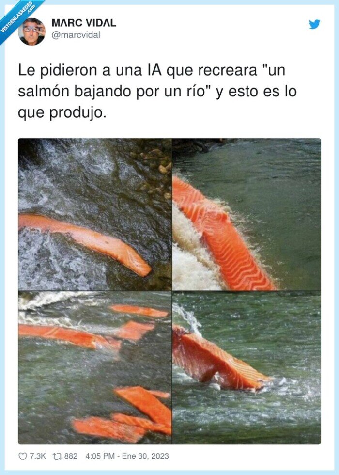 lomo,salmón,bajando,río