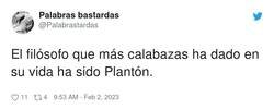 Enlace a Plantón, por @Palabrastardas
