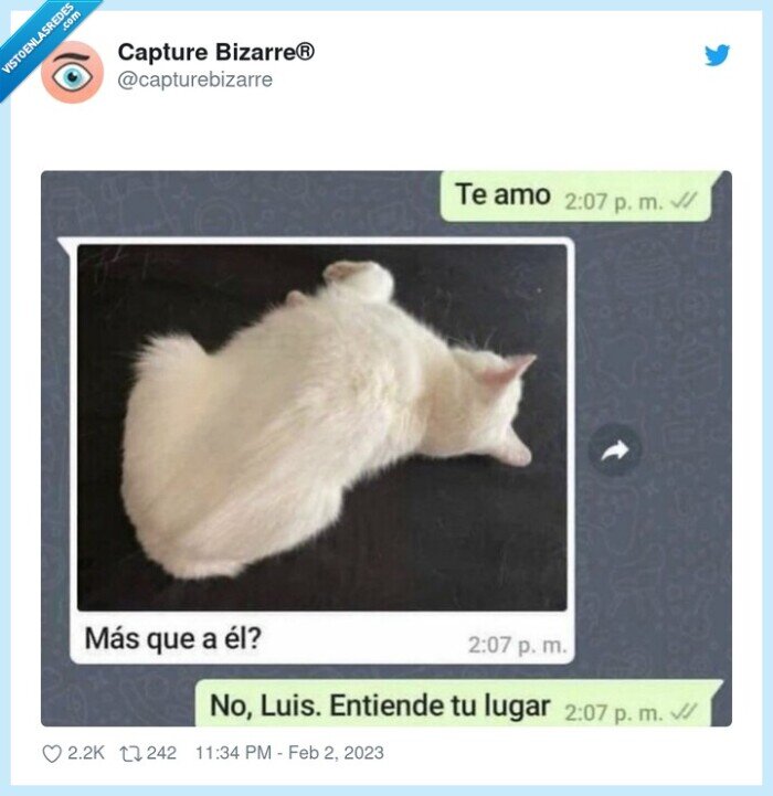 gato,luis,amar,lugar,posición