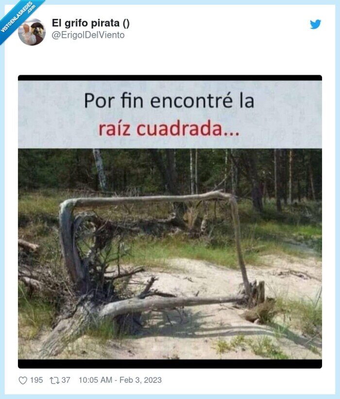 árbol,raíz cuadrada