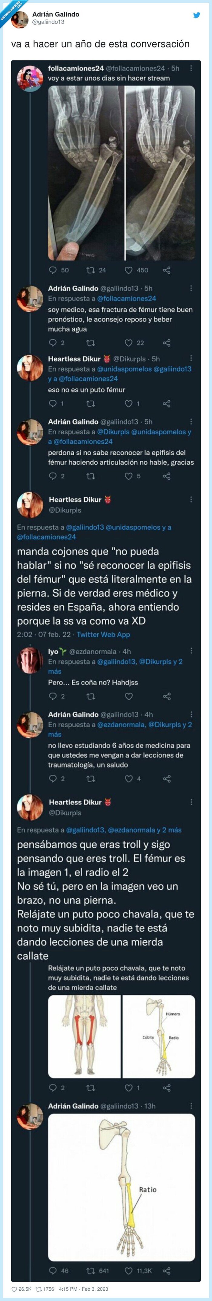 conversación,doctor,huesos,radio,femur