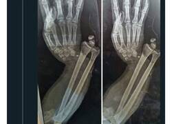 Enlace a Por conversaciones y zascas como éste es por lo que pago internet orgullosamente